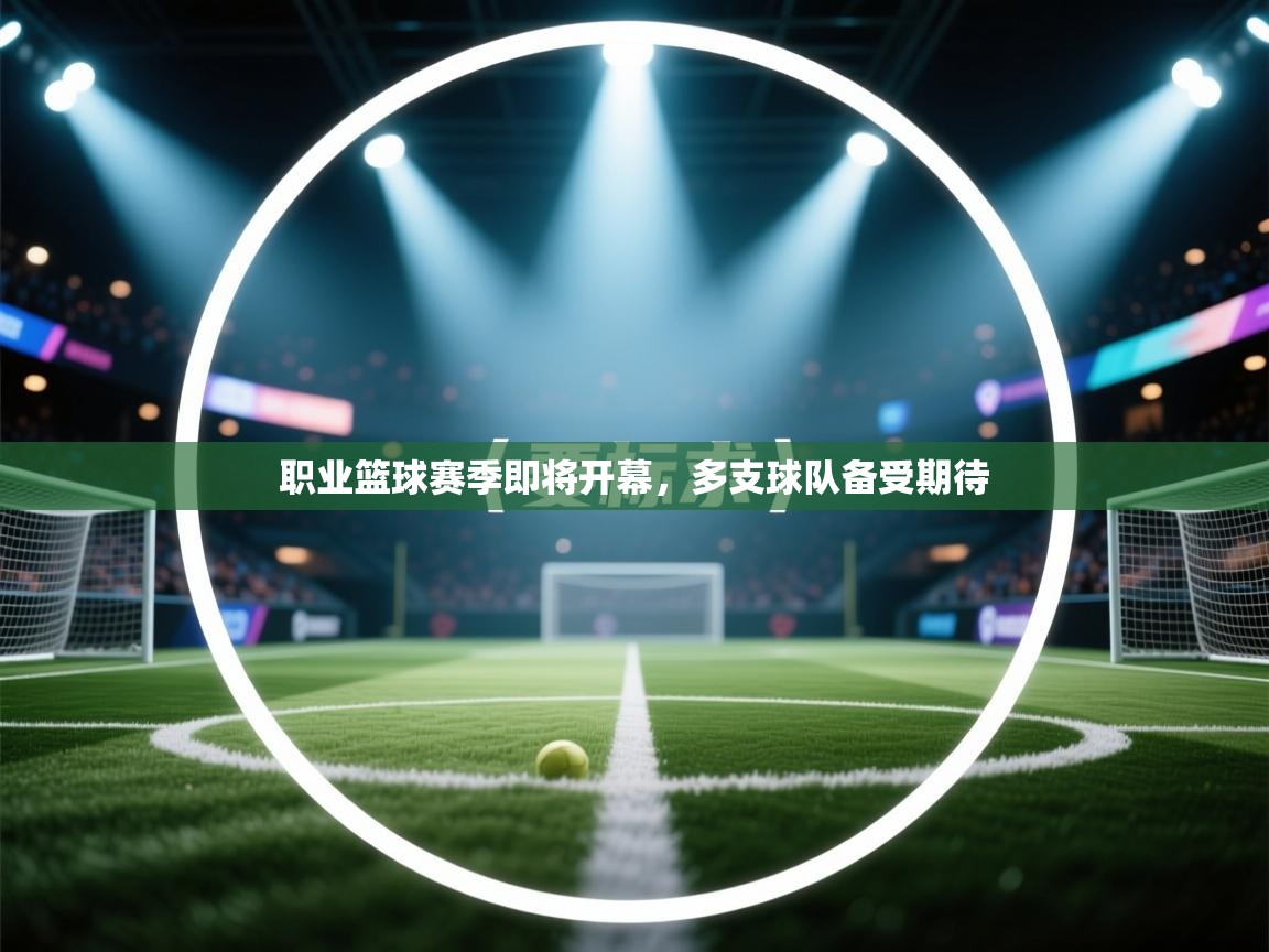 职业篮球赛季即将开幕，多支球队备受期待  第1张