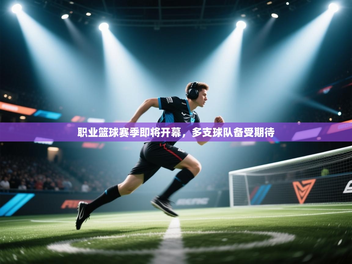 职业篮球赛季即将开幕，多支球队备受期待  第2张