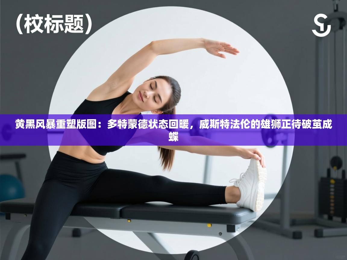 黄黑风暴重塑版图：多特蒙德状态回暖，威斯特法伦的雄狮正待破茧成蝶  第2张