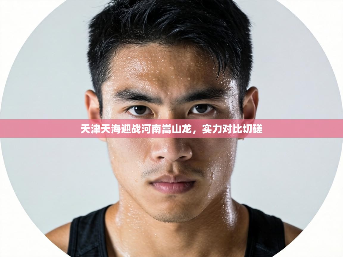 天津天海迎战河南嵩山龙,实力对比切磋 第1张